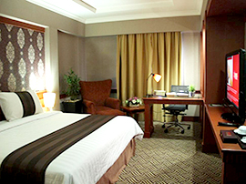 deluxe business room